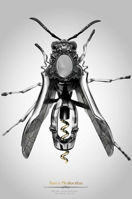 'Avispa Sacacorchos' de Juan Manuel Molleví | Aurea Medriocritas