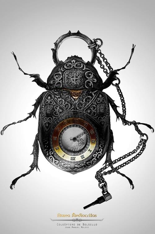 'Coleóptero de Bolsillo' de Juan Manuel Molleví | Aurea Mediocritas