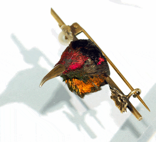 Imagen cortesía de Rowan & Rowan - Broche de colibrí