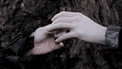 Cocorosie - Horca